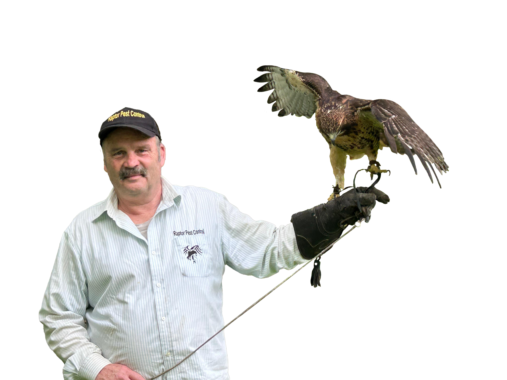 raptor